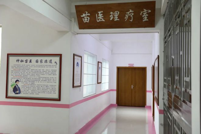 医（苗医）戒毒工作框架探索戒毒康复辅助治疗新路径球盟会入口经验聚焦 省黔东所搭建“1+2+3”中(图6)