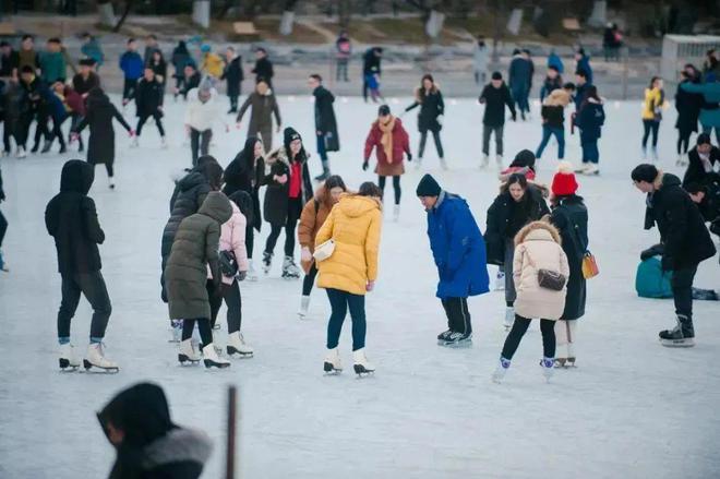 京多所高校专业冰场对外开放球盟会app冰雪头条：北(图10)